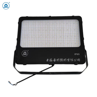 世纪亚明(新月系列)投光灯 GT57b 个