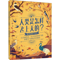 音像和鸟类学飞行美丽科学