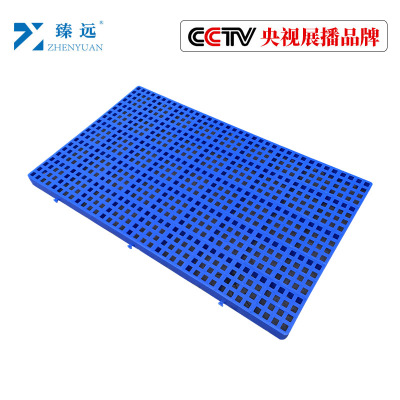 臻远 0603防潮垫加厚