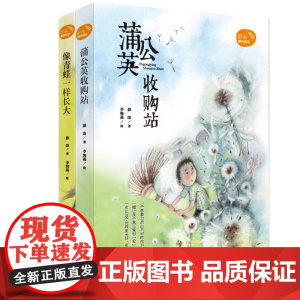 薛涛稻田童话 注音版 蒲公英收购站 像青蛙一样长大 小学生课外阅读睡前故事书籍一年级读物二年级三3-6-7-8-10-1