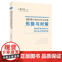2019中国经济社会发展形势与对策(激发市场主体活力着力