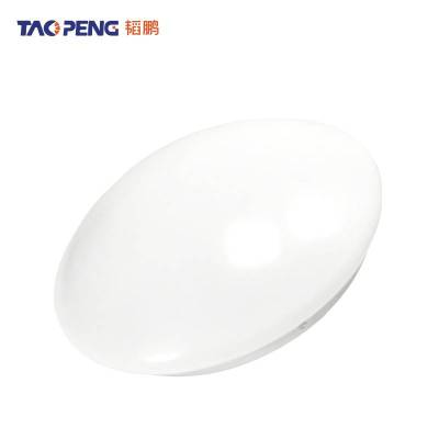 韬鹏 吸顶灯 TP260 12W 白光 个