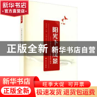 正版 阳光下的风景——内蒙古脱贫攻坚主题优秀作品选 赵富荣,常