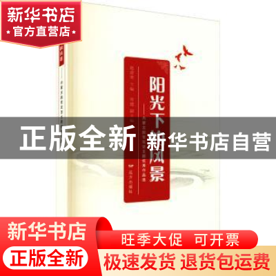 正版 阳光下的风景——内蒙古脱贫攻坚主题优秀作品选 赵富荣,常