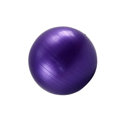 健卡侬 瑜伽球55cm JH26 个