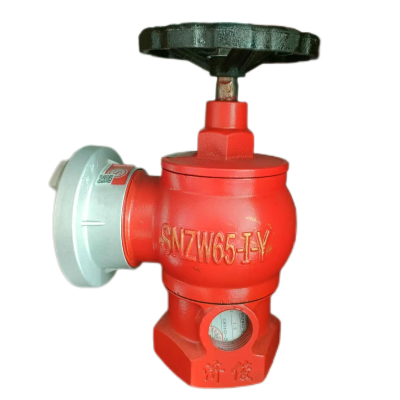 济俊 自救卷盘旋转减压稳压室内消火栓 SNZW65-I-Y DN65 /台