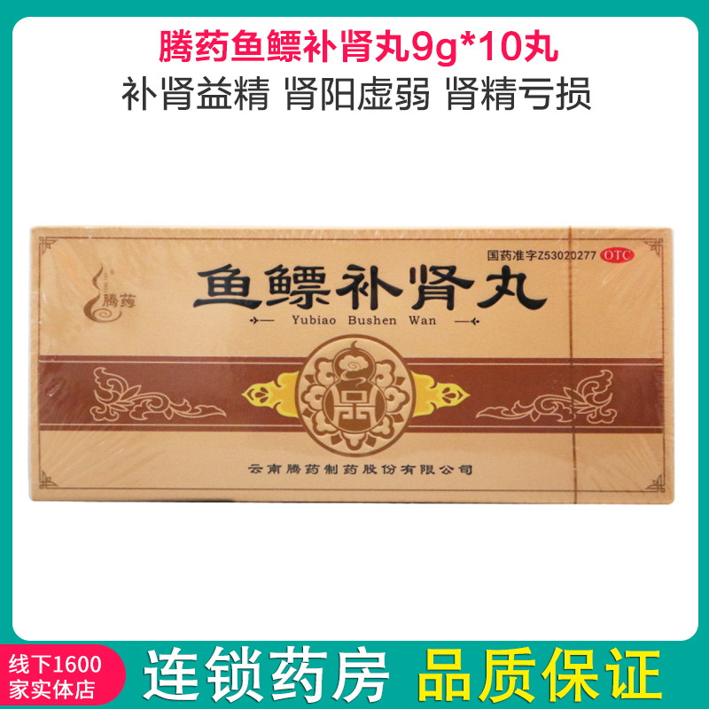 腾药 鱼鳔补肾丸 9g*10丸 补肾益精 用于肾阳虚弱,肾精亏损所致头昏