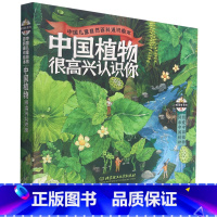 中国植物很高兴认识你(共4册)/中国儿童自然百科通识绘本 [正版]书店 书籍中国植物很高兴认识你(共4册)/中国儿童自然