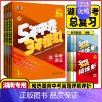 中考数学+英语共2本 湖南专用(2025版) 湖南省 [正版]2025版湖南5年中考3年模拟中考语文数学英语物理化学历史