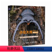 [正版]小虫大观 微距镜头下的昆虫世界 让孩子爱上大自然 昆虫科普书籍 昆虫记 蟋蟀的住宅 昆虫的细节特征展现