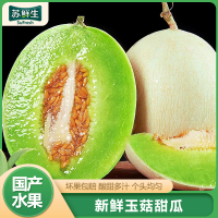 [苏鲜生]玉菇甜瓜 净重4.5斤 1-4个 冰淇淋新鲜水果当季白香瓜玉茹哈蜜瓜