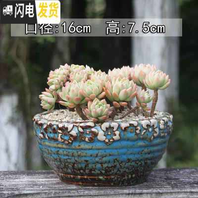 三维工匠景德镇陶瓷大口径肉肉植物花盆中大号粗陶透气盆栽 金平蓝(有孔) 大花盆容器