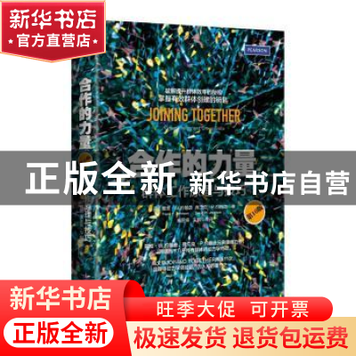 正版 合作的力量:群体工作原理与技巧:group theory and group sk