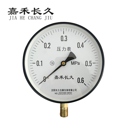 嘉禾长久 压力表检测型 Y200 块