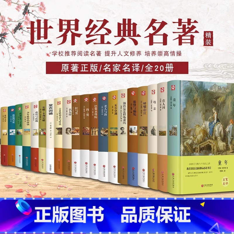 [精装全20册]世界二十大名著 [正版]全套20册 世界二十大名著原著 钢铁是怎样炼成的 海底两万里 巴黎圣母院 中国经
