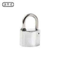 温帝尼WDNGS-40Y 合金 40mm 挂锁 1.00 个/把 (计价单位:把) 银色