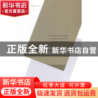正版 中国二元经济转型与经常项目动态演化路径研究 马丹著 中国