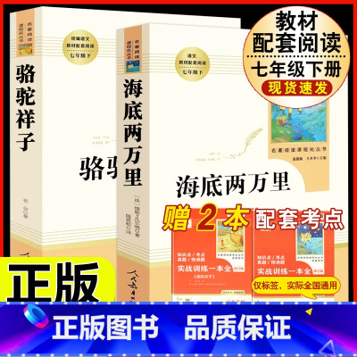 [人教版 必读2册]国一下 海底两万里+骆驼祥子 [正版]西游记原着国一上册语文阅读必读四大名着 人民教育出版社初中生人