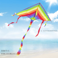 彩虹风筝带线轮套装 潍坊小卡通初学者大型成人 微风易飞儿童新款创意 三维工匠 彩虹+700米白色轮