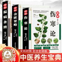 [醉染正版]3册 伤寒论 金匮要略张仲景正版 伤寒杂病论 温病条辨 中医入门 零基础学养生书籍大全人民卫生出版社原著医学
