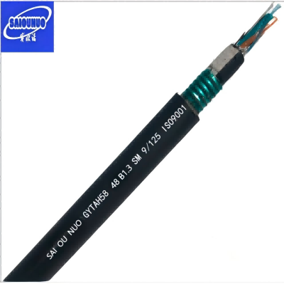 赛欧诺 铠装阻燃光缆 GYTAH58-48B1.3 米