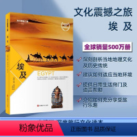 [正版] 文化震撼之旅-埃及 深度旅游攻略风俗人情书籍 了解埃及人的生活方式 进而融入埃及社会 欣赏到埃及特有的风土人