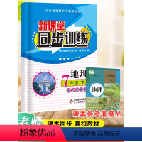 地理 七年级/初中一年级 [正版]2024版新课堂同步训练地理七年级下册同步练习册人教版初一练习册