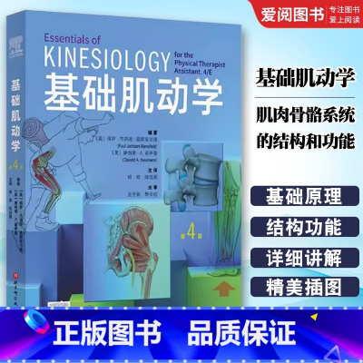 基础肌动学 [正版]基础肌动学 北京科学技术出版社 肌肉骨骼系统的结构和功能 图谱肌动力学书籍 筋膜解剖书 医学书籍