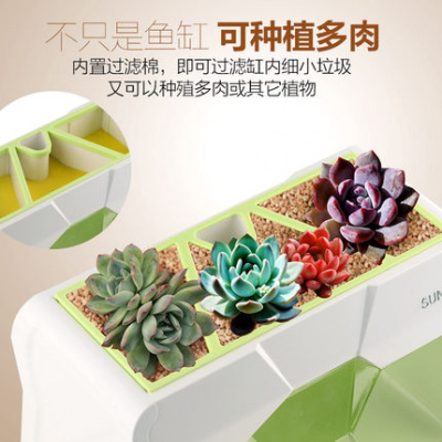 小型桌面鱼缸创意水族箱多肉生态亚克力造景观赏鱼金鱼缸过滤