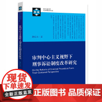 正版书籍 审判中心主义视野下刑事诉讼制度改革研究 韩红兴 著 法律出版社