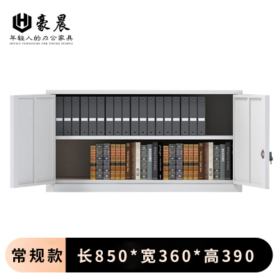 豪晨 钢制文件柜(单节柜)850*390*360mm 个