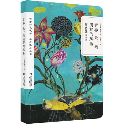 醉染图书青春是一场阴郁的风暴9787201134130