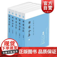 邵雍全集 全五册]邵雍撰国学古籍经典了解专精易学象数大师邵雍入门读物上海古籍出版社正版图书籍世纪出版