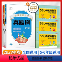 语数英[6本]真题刷+总复习 小学升初中 [正版]2024版一起同学小升初总复习真题刷语文数学英语五六年级全国通用小学升