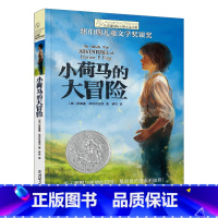 小荷马的大冒险 [正版]新版 长青藤小说书系倩达秘密 宇宙后一本书 枫树山的奇迹五年级的烦恼胡桃木小姐