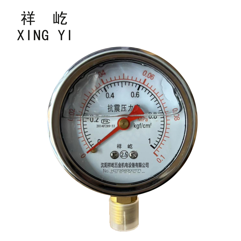 祥屹+耐震压力表检测定制型+YTN60+块