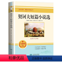 契诃夫短篇小说选 [正版]简爱和儒林外史全套2册九年级下册必读原著书籍人教版名著简爱书籍完整版课外阅读经典书目初中生初三