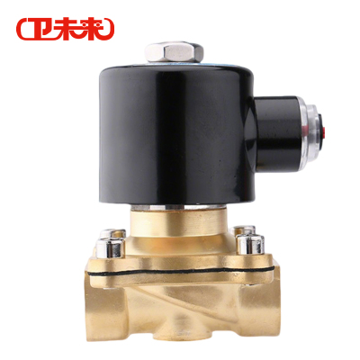卫未来 黄铜电磁阀 AC220V 个
