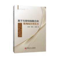 正版新书]基于互穿网络聚合体堵剂的封堵技术王增宝,黄维安,白