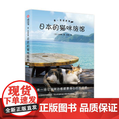 喵~欢迎来到日本的猫咪旅馆