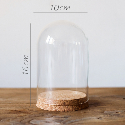 家柏饰(CORATED)软木塞玻璃罩 装饰摆件微景观干花标本公仔玩偶瓶DIY G(10cmX16cm)