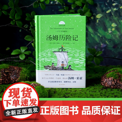 汤姆历险记 : 1876年馆藏版