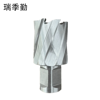 瑞季勤 高速钢空心钻头 31*25mm 支