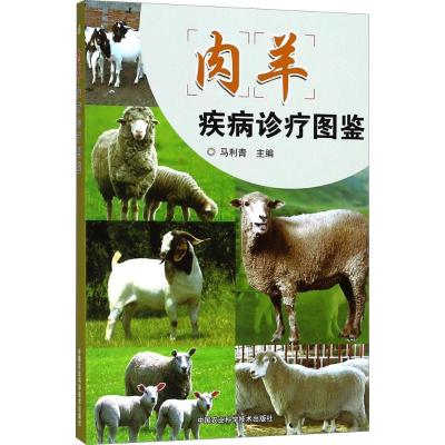 肉羊疾病诊疗图鉴