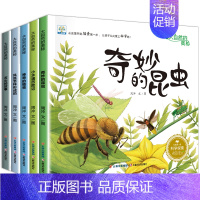 大自然的奥秘 第①辑[5册] [正版]全都不带拼音幼儿园阅读绘本3–6岁 名家获奖儿童绘本3到6岁4-5岁故事书籍睡前读