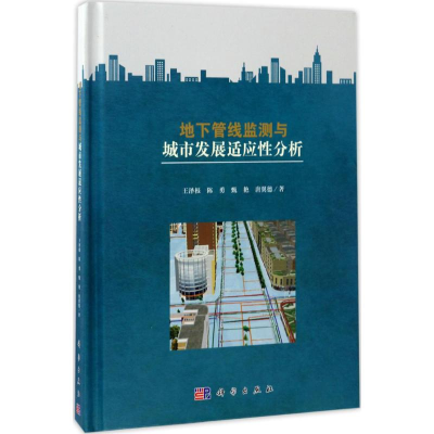 醉染图书地下管线监测与城市发展适应分析9787030520296