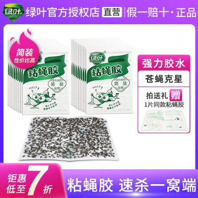 绿叶粘蝇胶(50张) 粘蝇纸苍蝇贴强力杀灭蝇粘虫板家用室内灭蝇药捕蝇神简装器粘蚊虫