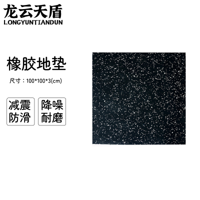 龙云天盾健身房地垫运动地胶垫室内减震防滑健身地垫环保隔音橡胶地垫100*100*3CM 黑白