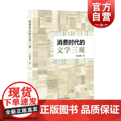消费时代的文学三观 申霞艳著上海文艺出版社文学当代文学文学评论小说
