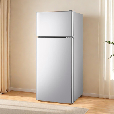 志高BCD-90A170L闪亮银